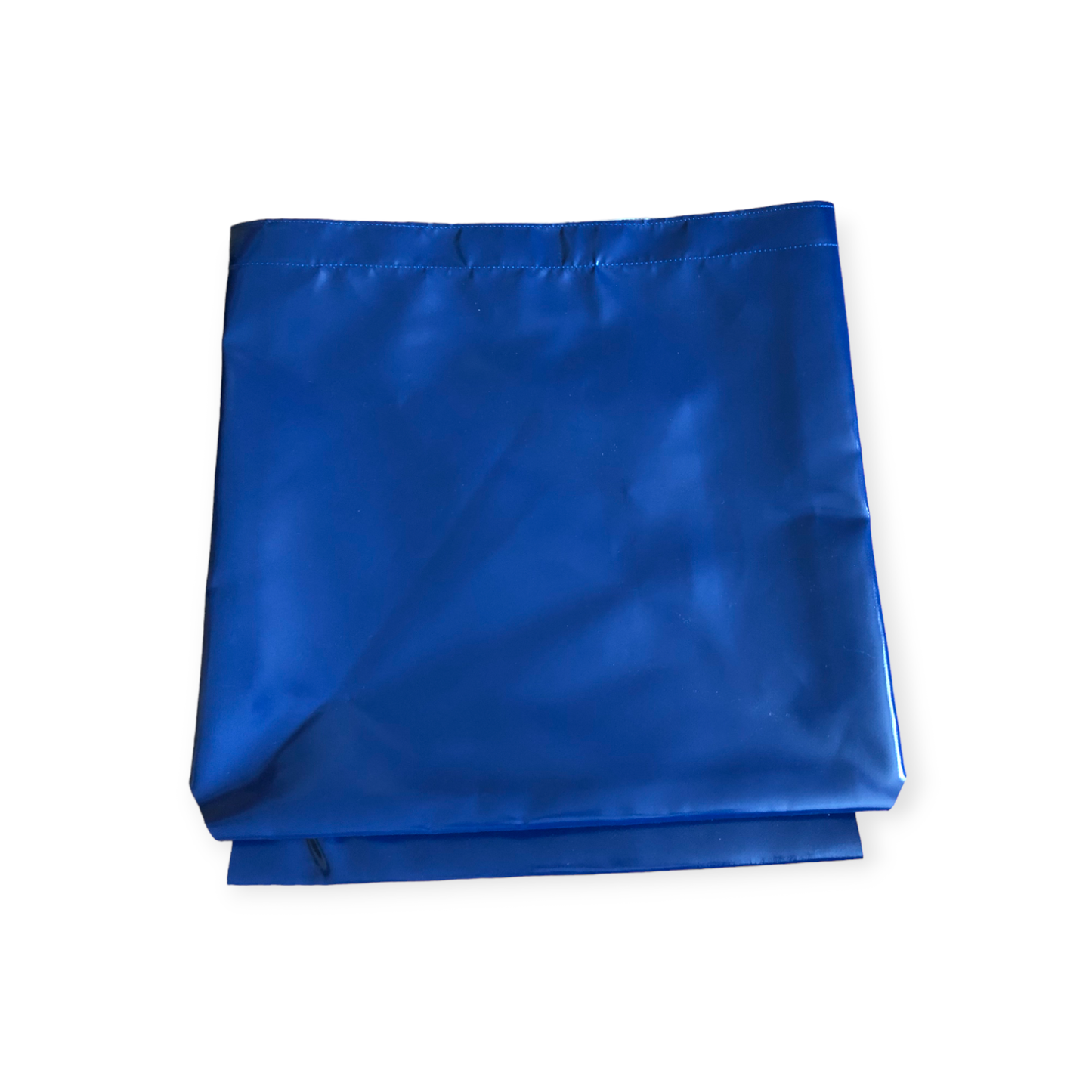 Blue Strap Storage Pouch